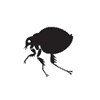 pest control for fleas