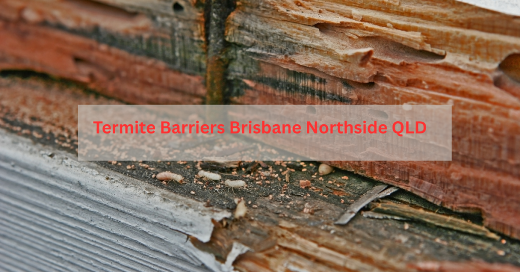 Chemical and physical termite barriers installed in Brisbane Northside QLD to protect homes from termite infestations.