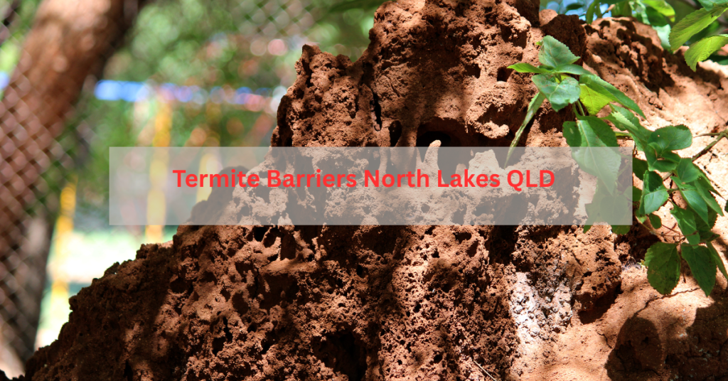 Termite barrier installation in North Lakes, Brisbane to protect homes from termite infestation