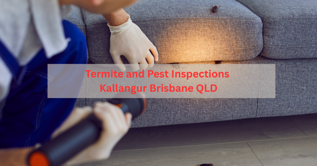 Termite and pest inspection technician checking a property in Kallangur, Brisbane QLD